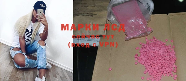 индика Магас