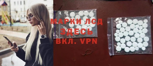 индика Магас