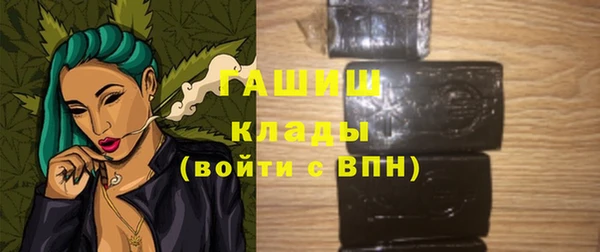 индика Магас