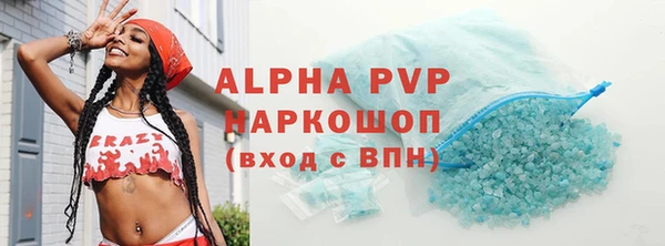 индика Магас