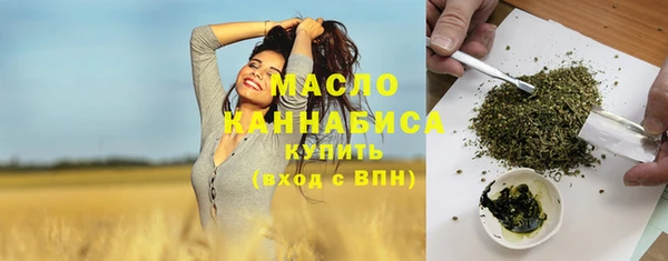 индика Магас