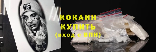 индика Магас