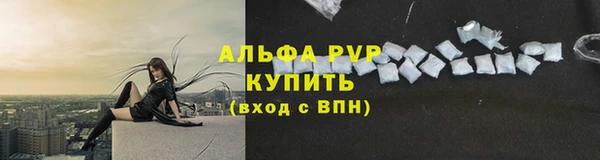 индика Магас