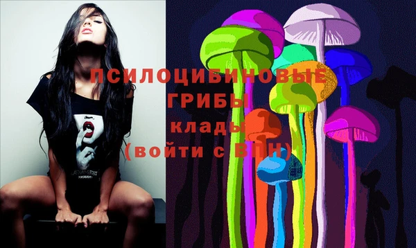 СК Магадан