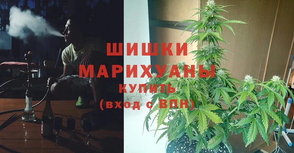 СК Магадан