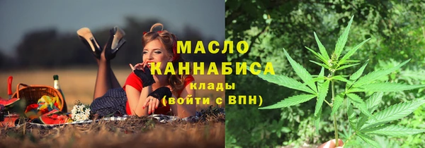 индика Магас