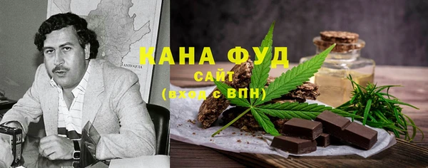 индика Магас